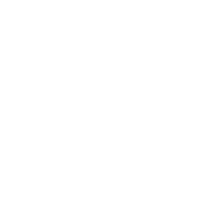 Expert Systems Limited logo